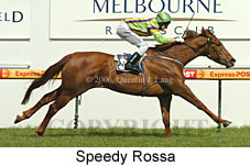 Speedy Rossa (14772 bytes)