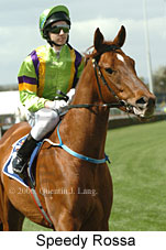 Speedy Rossa (14772 bytes)