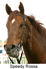 Speedy Rossa (14772 bytes)