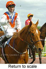 Return to scale (14008 bytes)