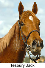 Tesbury Jack (14772 bytes)