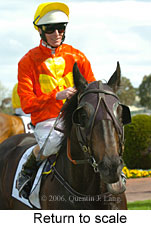 Return to scale (14008 bytes)