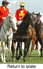 Return to scale (14008 bytes)