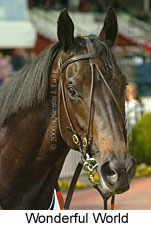 Wonderful World (14772 bytes)