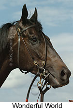 Wonderful World (14772 bytes)