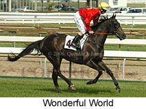 Wonderful World (14772 bytes)