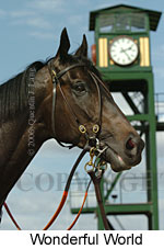 Wonderful World (14772 bytes)