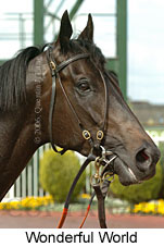 Wonderful World (14772 bytes)