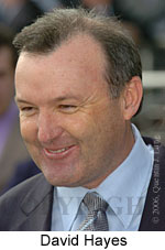 David Hayes (14772 bytes)