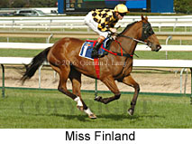 Miss Finland (14772 bytes)