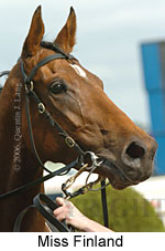 Miss Finland (14772 bytes)