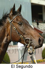 El Segundo (14772 bytes)