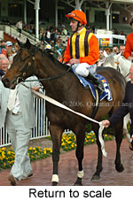 Return to scale (14008 bytes)