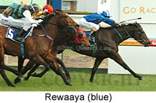 Rewaaya (14772 bytes)