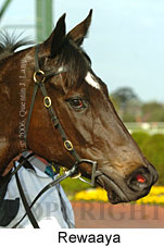 Rewaaya (14772 bytes)