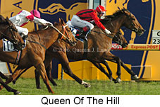 Queen Of The Hill (14772 bytes)