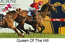 Queen Of The Hill (14772 bytes)