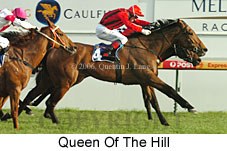 Queen Of The Hill (14772 bytes)