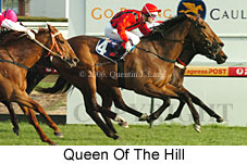 Queen Of The Hill (14772 bytes)