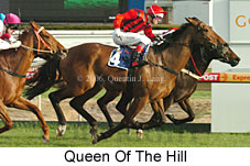 Queen Of The Hill (14772 bytes)