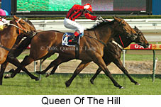 Queen Of The Hill (14772 bytes)
