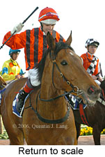 Return to scale (14008 bytes)