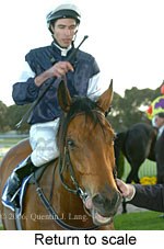 Return to scale (14008 bytes)