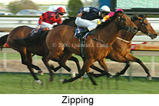 Zipping (14772 bytes)