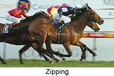 Zipping (14772 bytes)