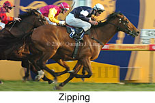 Zipping (14772 bytes)