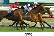 Zipping (14772 bytes)