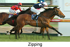 Zipping (14772 bytes)