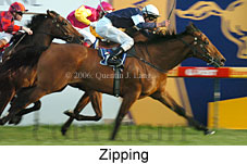 Zipping (14772 bytes)