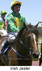 r1irishjester2.jpg (14217 bytes)