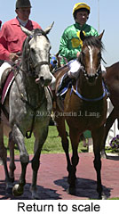 r1rtosc.jpg (14777 bytes)