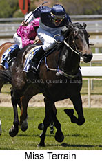 r2missterrain.jpg (15670 bytes)