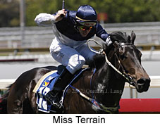 r2missterrain2.jpg (15157 bytes)