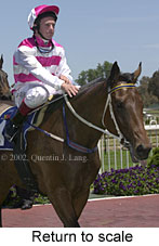 r3rtosc.jpg (12474 bytes)