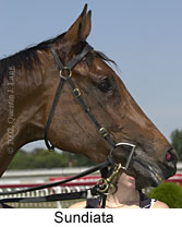 r4sundiata3.jpg (10497 bytes)