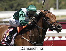 r5damaschino.jpg (15413 bytes)