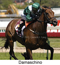 r5damaschino2.jpg (16894 bytes)