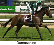 r5damaschino5.jpg (16004 bytes)