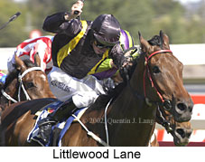 r7littlewoodlane.jpg (17122 bytes)