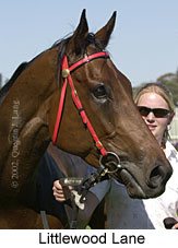 r7littlewoodlane2.jpg (12420 bytes)