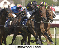 r7littlewoodlane3.jpg (19045 bytes)