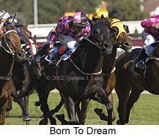 r8borntodream2.jpg (18697 bytes)