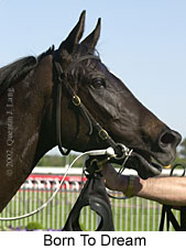 r8borntodream3.jpg (12861 bytes)