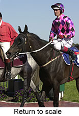 r8rtosc.jpg (14914 bytes)