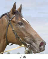 r1jiver2.jpg (20421 bytes)