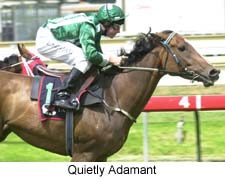 r2qad.jpg (17911 bytes)